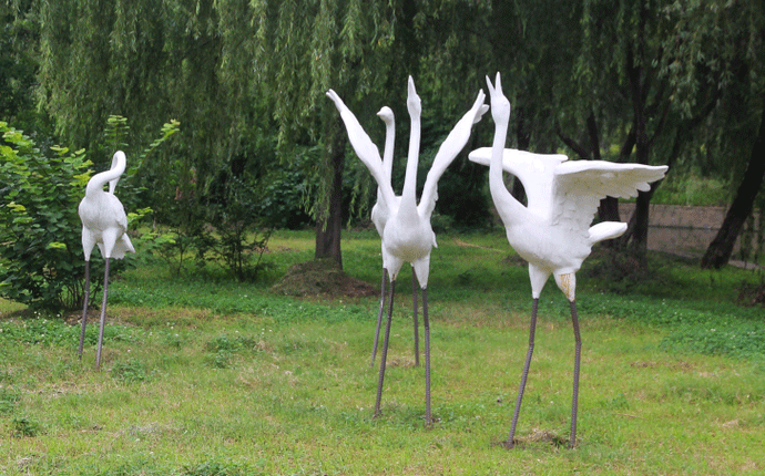 ������ô�@ô�ÿ�������䓵����f��