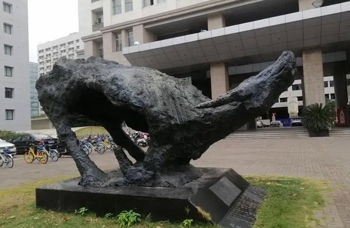 �T�~���������ğo(w��)�������ĺζ���(l��i)��