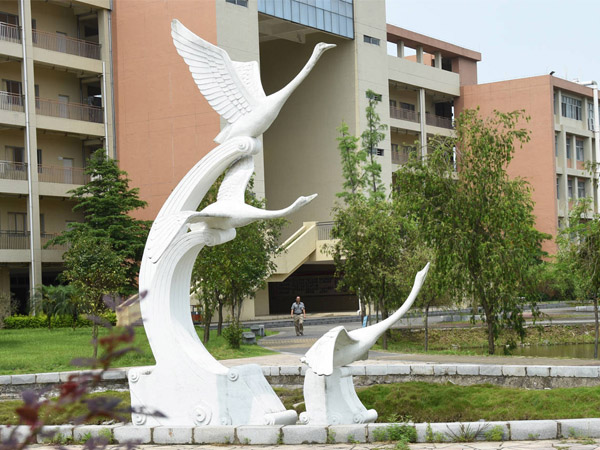 �F(xi��n)�ڴ����(sh��)�˂���ϲ�g�����P䓵�������߀�Ǿ����P䓵�����